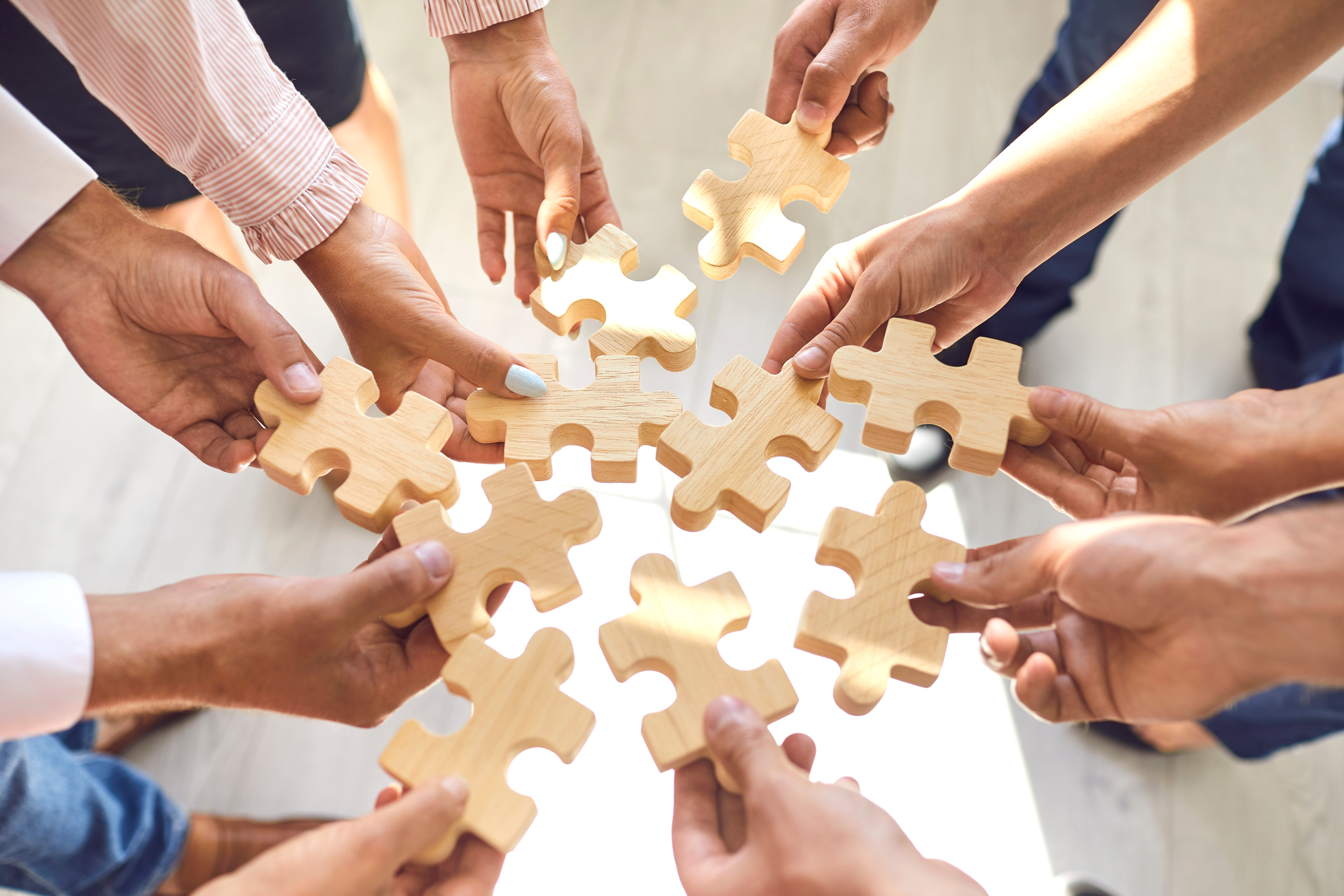 Agenzia Tonini Mani puzzle